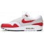 Nike Air Max 1 OG Men's Shoes HF3933-794