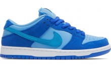 Dunk Low Pro SB Men's Shoes Blue HY3098-738
