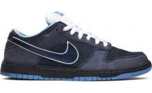Dunk Low Premium SB Men's Shoes Blue NN1392-945