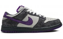 Dunk Low Pro SB Men's Shoes Purple XR0520-180