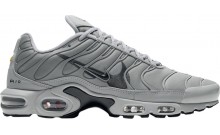 Grau Nike Schuhe Herren Air Max Plus YQ8329-972